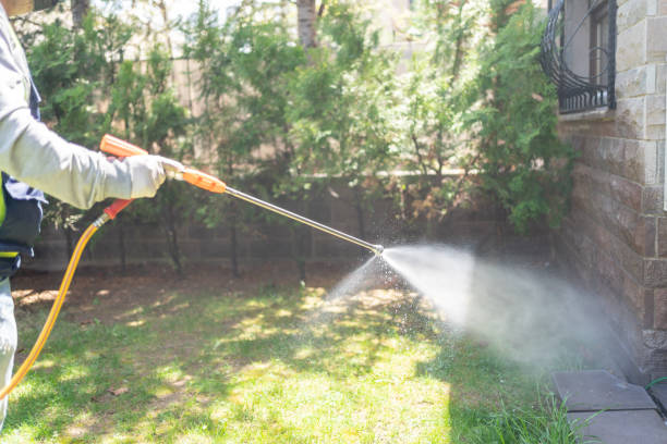 Bird Control in Aberdeen, IN