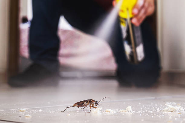 Trusted Aberdeen, IN Pest Control Experts